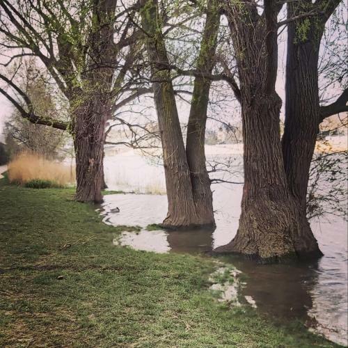 Apartamento Charmant Studio Sur Cour � Saint-rambert Lyon 9e