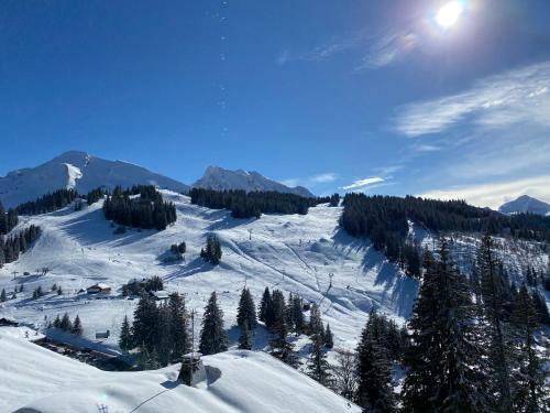 Apartamento Studio Cosy En Haute Savoie