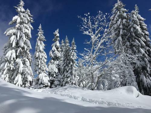 Apartamento Studio Cosy En Haute Savoie