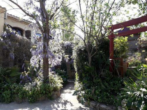 Apartamentos Jardin Et Bambous, Studio Cosy, Class�