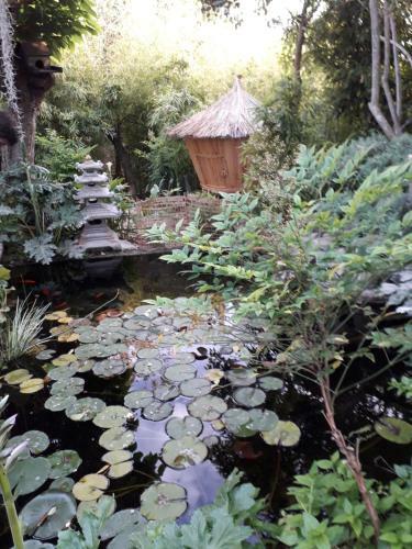 Apartamentos Jardin Et Bambous, Studio Cosy, Class�
