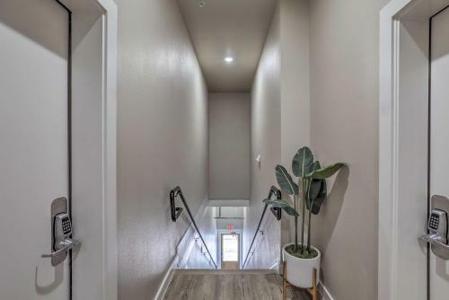Apartamento Sleek, Newly Updated Downtown San Marcos Apt!