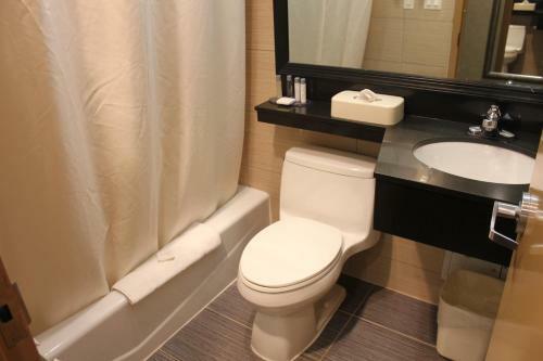 Hotel Comfort Inn Bellerose Queens