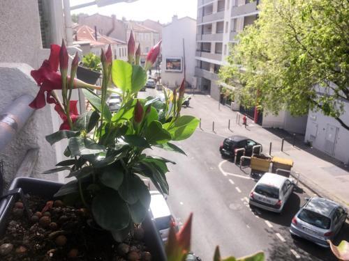 Apartamentos Your Home In Marseille***