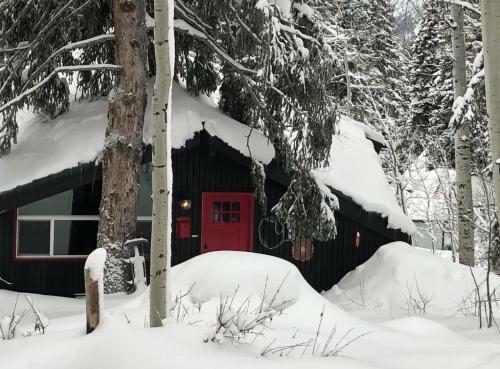 Swiss Cottage Ski And Summer Retreat