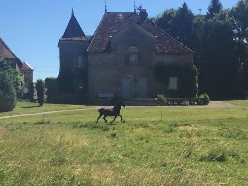 Apartamento Appartements Au Ch�teau