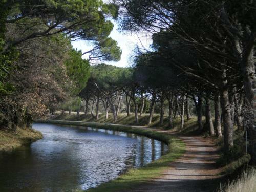 Apartamento Domaine de L?herbe Sainte