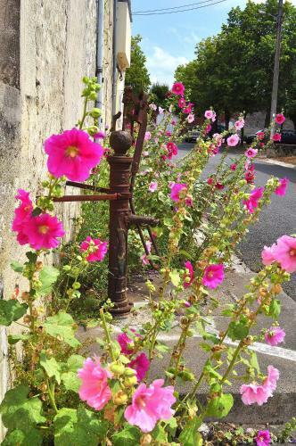 Cosy Medieval Village House Mons�gur