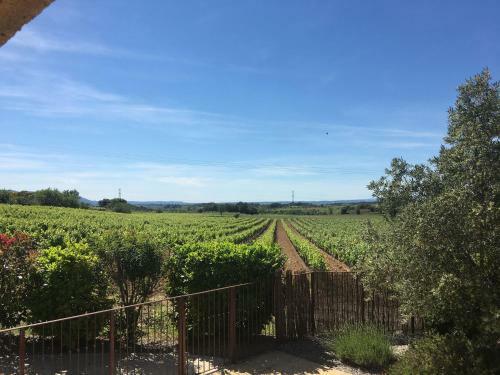 Welcoming Villa With Pool In Montburn-des-corbieres