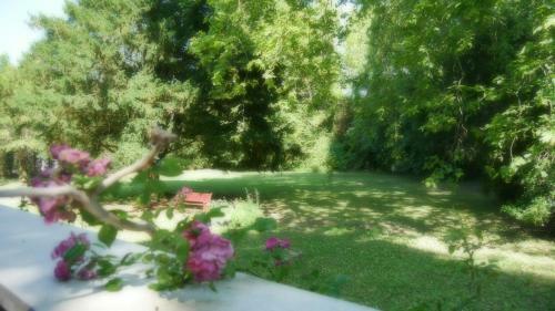 Bed & Breakfast Domaine de La C�te Aux Chats