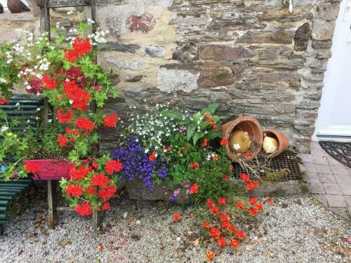Bed & Breakfast Le Moulin de La Castellerie
