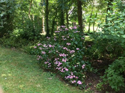 Bed & Breakfast Le Moulin de La Castellerie