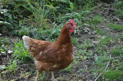 Bed & Breakfast L'escale Des 2 Eaux