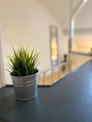 Apartamento Les Cosy de Nancy - Le Nid Douillet - 4*