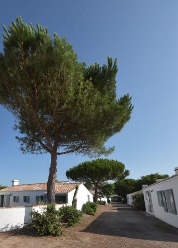 Maisons Parc Des Mimosas