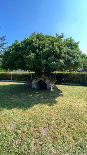 La N�buleuse