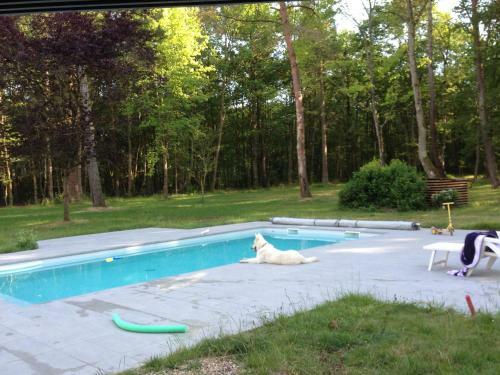 Apartamento Loft Climatis� Proche Chambord