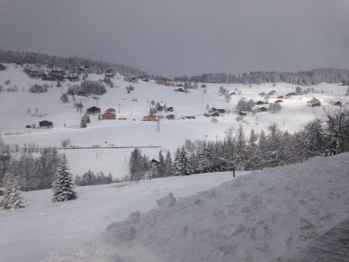 Aparthotel La Ferme Des Georgi�res