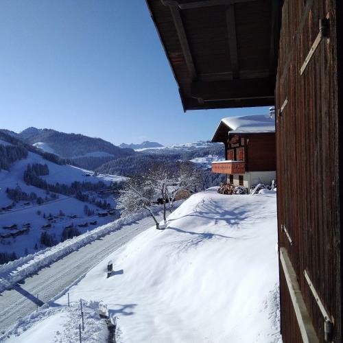 Apartamento Demi Chalet Le Lachat