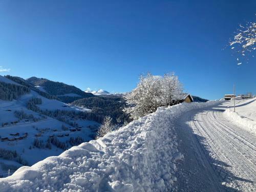 Apartamento Demi Chalet Le Lachat