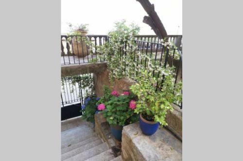 Apartamento Appartement de Charme � Olmeto