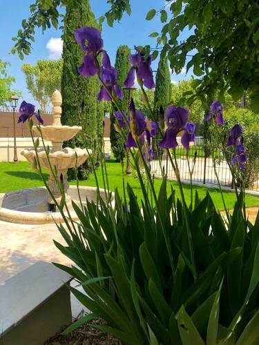 Bed & Breakfast Villa Agrippa