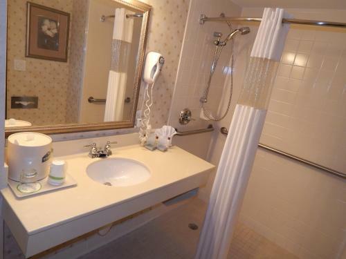 Hotel Wingate By Wyndham Atlanta-duluth