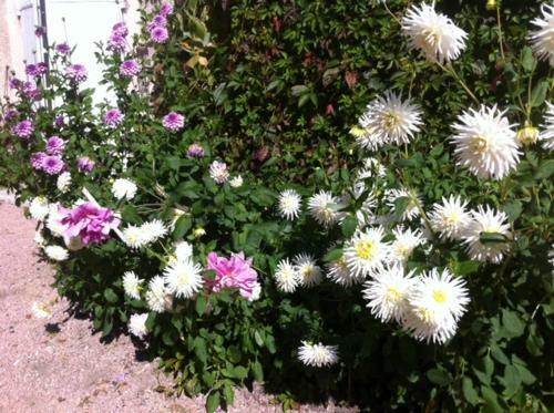 Bed & Breakfast Ch�teau de Saint-agoulin