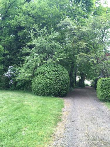 Bed & Breakfast Ch�teau de Saint-agoulin