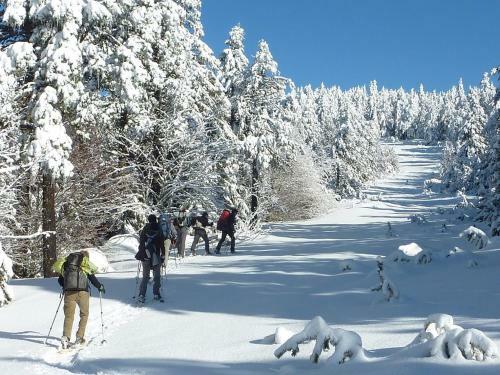 Retour � L'essentiel Dans Le Parc National