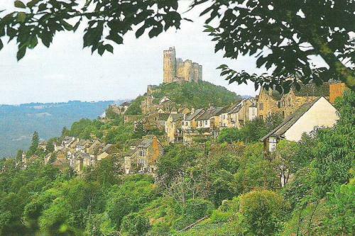 Maison D?artiste, 5 Mins From St Antonin Noble Val