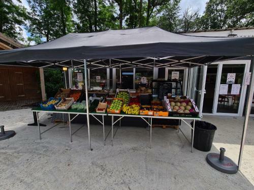 Mobil-home