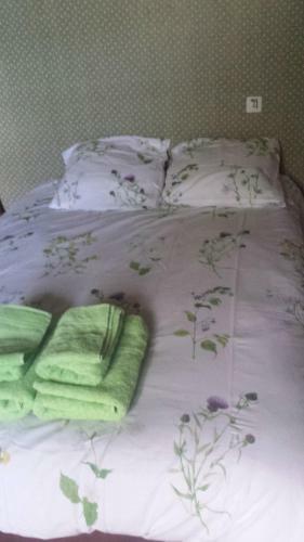 Bed & Breakfast Le Curieux