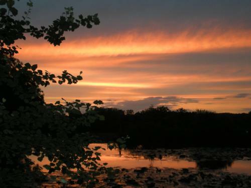 Bed & Breakfast Chambres D'h�tes Du Moulin de La Chaussee