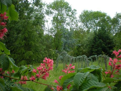 Bed & Breakfast Chambres D'h�tes Du Moulin de La Chaussee