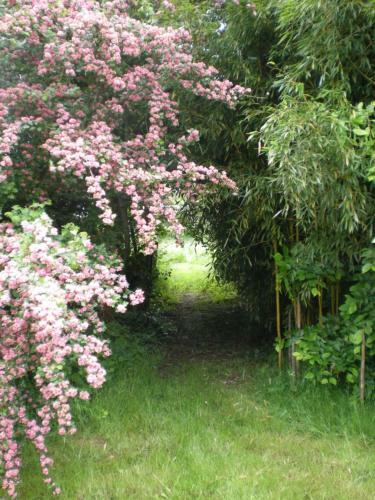 Bed & Breakfast Chambres D'h�tes Du Moulin de La Chaussee