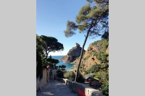 Le Repaire de La Cadi�re � 5mn Des Plages !