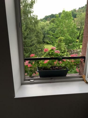 Bed & Breakfast Chambres D'hotes " Le Magnolia "