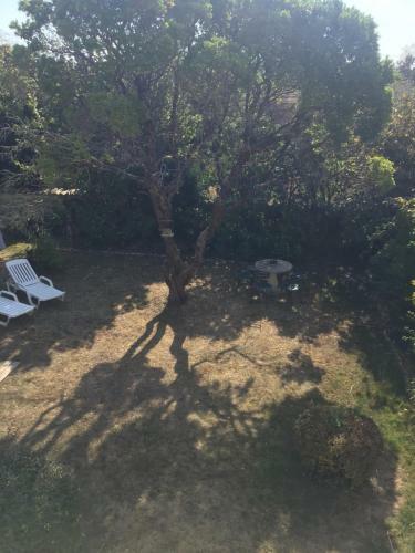 Bed & Breakfast Le Logis de La Venise Verte