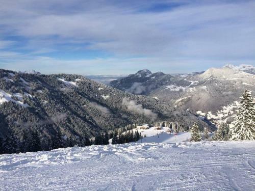Chalet Serin