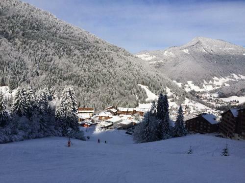 Chalet Serin