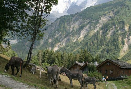 Les Jardins Alpins - Apartment