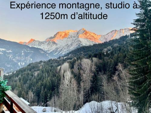 Apartamento Studio Turquoise Quartier Grattague Vue Montblanc