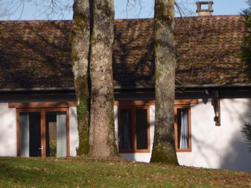 L?etang Carp Fishing Lake And Gite