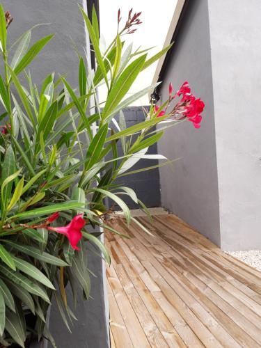Apartamento Les Appartements Du 104