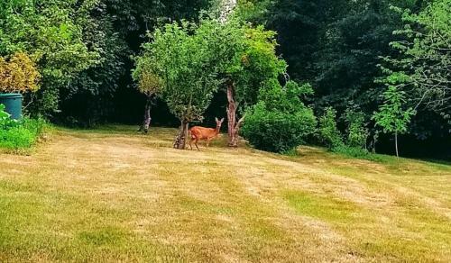 Bed & Breakfast Maison Grandsire Chambres D'h�tes