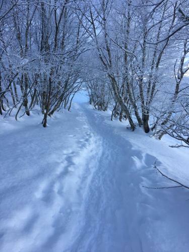 Apartamento Appartement Saint Lary Pla D?adet