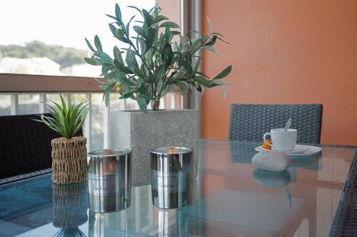 Apartamento Beau T2 Tout �quip� Bord de Mer