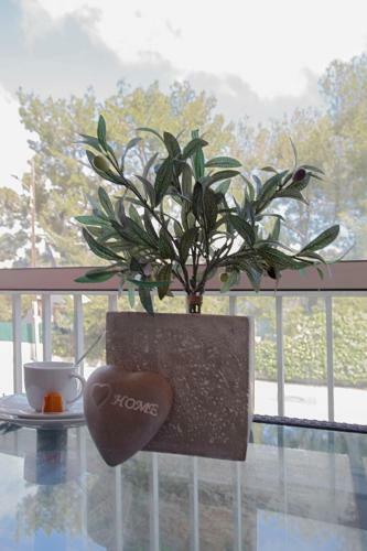 Apartamento Beau T2 Tout �quip� Bord de Mer