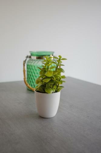 Apartamento Joli Studio Avec Jardin Bord de Mer